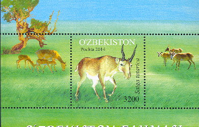 Saiga Postage Stamps Issued in Uzbekistan