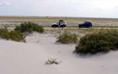 Vozrozhdenie island research