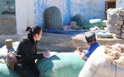 Batkhuyag Baldangombo et al (Mongolia): Building capacity for preventing transboundary trade of Saiga derivates in the Western parts of Mongolia and China