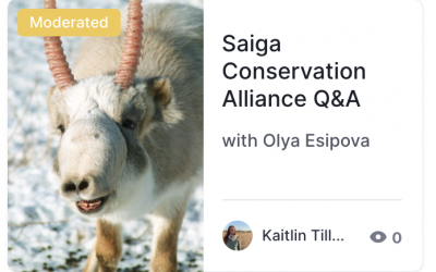 Join Olya at WCN’s Virtual Spring Expo
